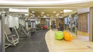 هتل The Peak Hotel & Spa استانبول سالن بدنسازي