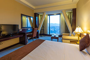 اتاق 1 تخت هتل چمران شیراز 1
