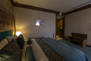 اتاق 1 تخت هتل زندیه شیراز