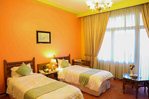 اتاق دو تخته هتل عباسی اصفهان