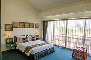 اتاق دو تخته دبل رو به جنگل هتل نارنجستان نور