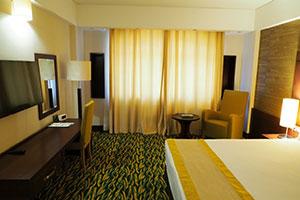 اتاق دو تخت برای یک نفر هتل ارگ جدید یزد