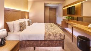 هتل آترو استانبول - Atro Hotel Large Single Room
