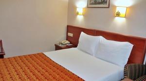 هتل گرند هالیک استانبول - Grand Halic Hotel Budget Double Room