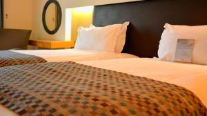 هتل سورملی استانبول - Surmeli Hotel Deluxe Twin Room