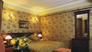 هتل گرمیر پالاس استانبول-Germir Palas Hotel  Deluxe Double Room with Park View