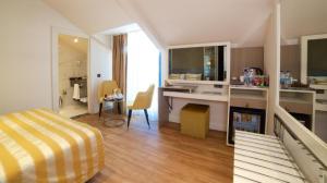 هتل آیکون استانبول - Icon Hotel Deluxe King Bed Room with Balcony