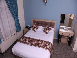 هتل هالی تهران یک تخت کینگ