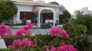 محوطه داخلی هتل