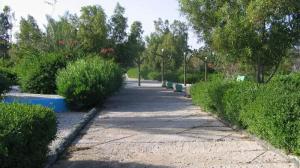 محوطه داخلی فضای هتل