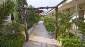 محوطه داخلی هتل