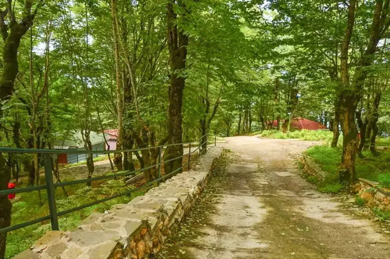 نمای بیرونی هتل بام سبز رامسر