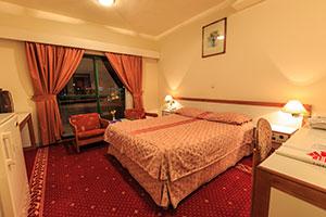  Double room, Laleh Hotel, Sarein