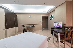  Single room at Diamond Hotel Tehran