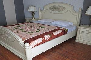  Double room in Mahallat Tourism Spa Hotel