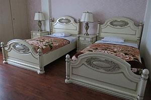  Twin room in Mahallat Tourism Spa Hotel