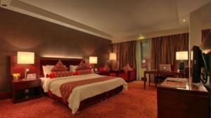  Parsian Azadi Hotel Tehran Special Junior Suite for Two (Floor 20-25)