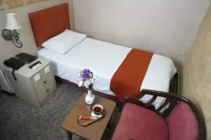  Orin Hotel Tehran Single Room