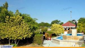 Top Rose Hotel Kish Area Top Rose Hotel grounds