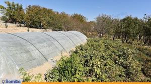 باغ اقامتگاه بوم گردی شاهدان