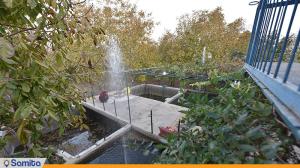 چشم انداز اقامتگاه بوم گردی شاهدان