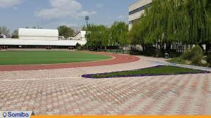 زمین ورزشی هتل آکادمی ملی المپیک